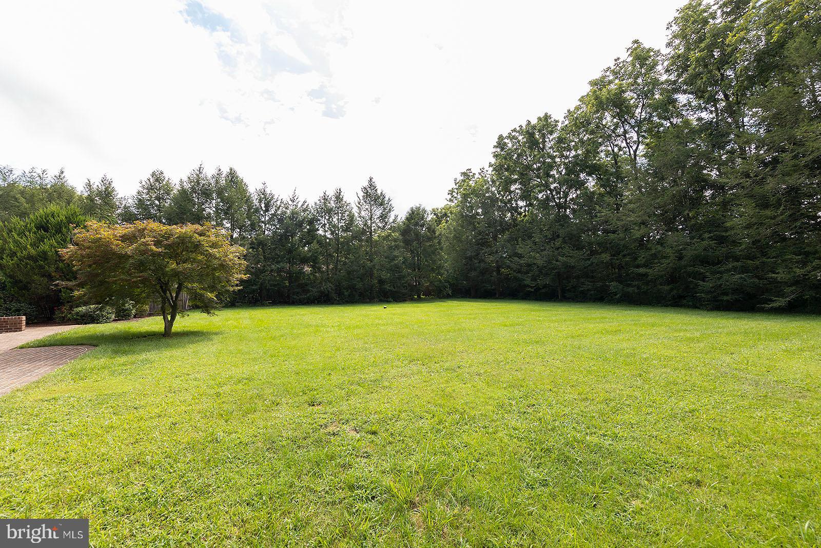 127 Stonebrook Road Winchester, VA 22602 - Photo 49 of 64 Backs to trees