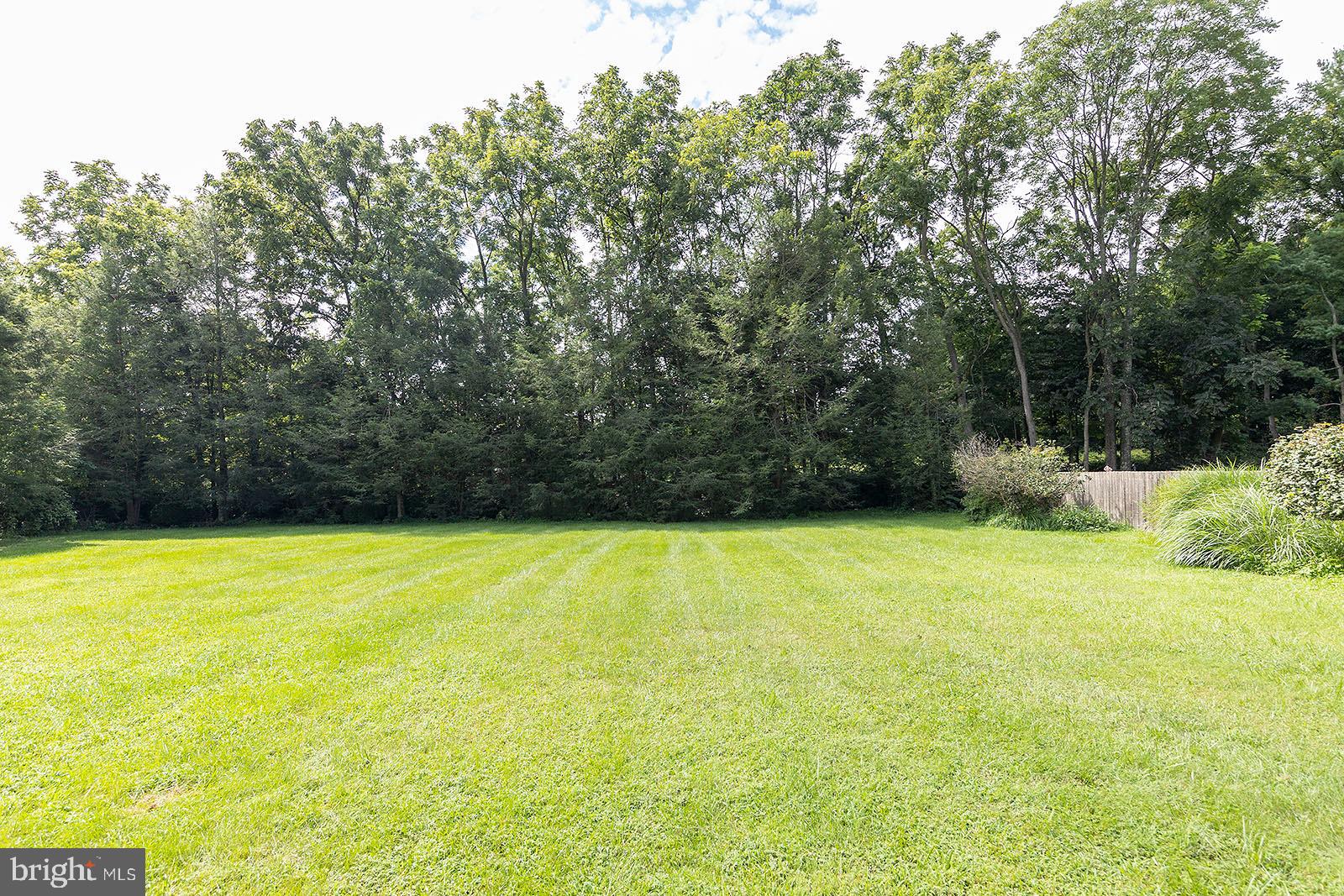 127 Stonebrook Road Winchester, VA 22602 - Photo 50 of 64 Backyard