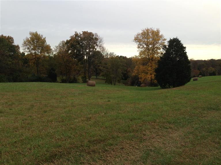 1620 Crittenden Mt Zion Road Dry Ridge, KY 41035 - Photo 10 of 14 Gallery Image 10