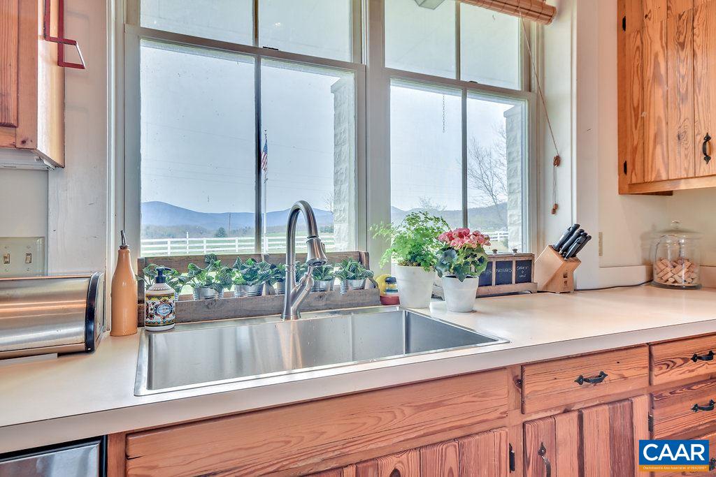 4543 Garth Road Charlottesville, VA 22901 - Photo 17 of 50 a kitchen with a sink and potted plant