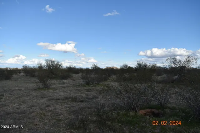 a view of a lake in middle of forest