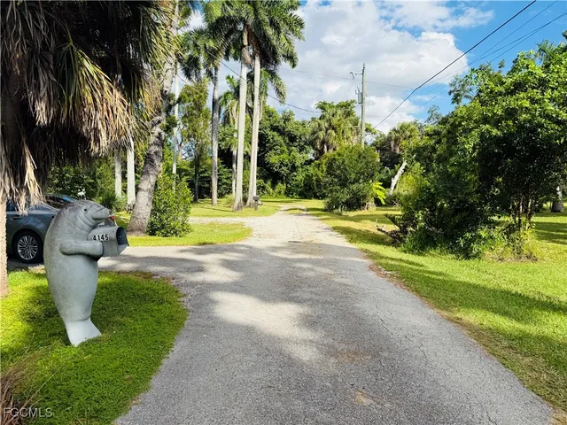 a view of a yard with plants and palm trees