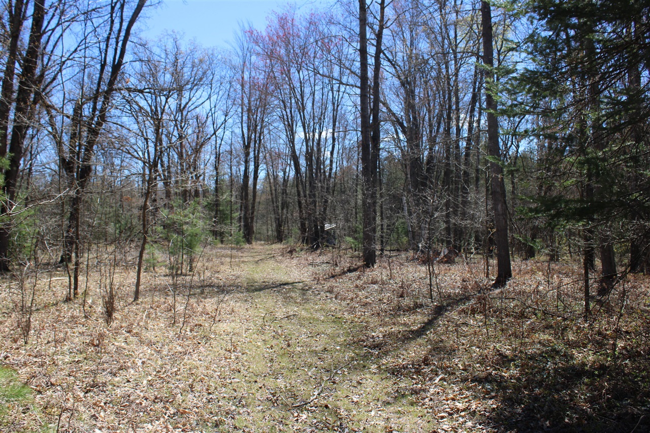 11401 Little George Lake Road Gladwin, MI 48624 - Photo 36 of 72