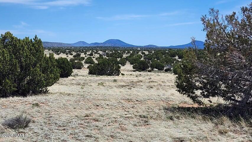 3566 West Clove Hitch Road Williams, AZ 86046 - Photo 4 of 6 a view of a sky from a yard