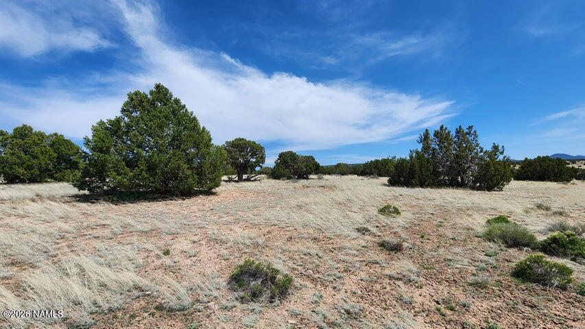 3566 West Clove Hitch Road Williams, AZ 86046 - Photo 6 of 6 a view of dirt yard and mountain view