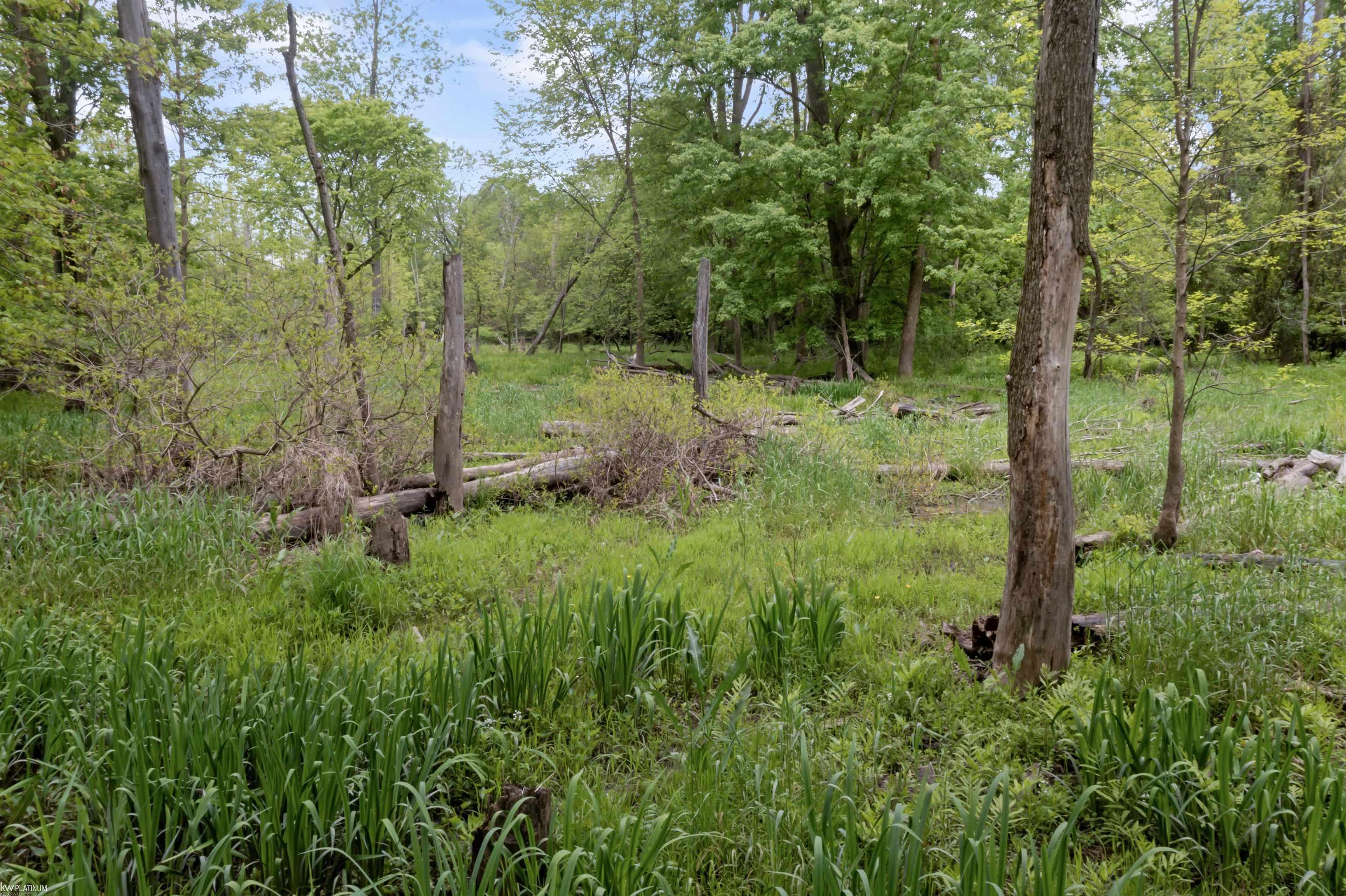 0 Jorden Road Yale, MI 48097 - Photo 15 of 17 Gallery Image 15