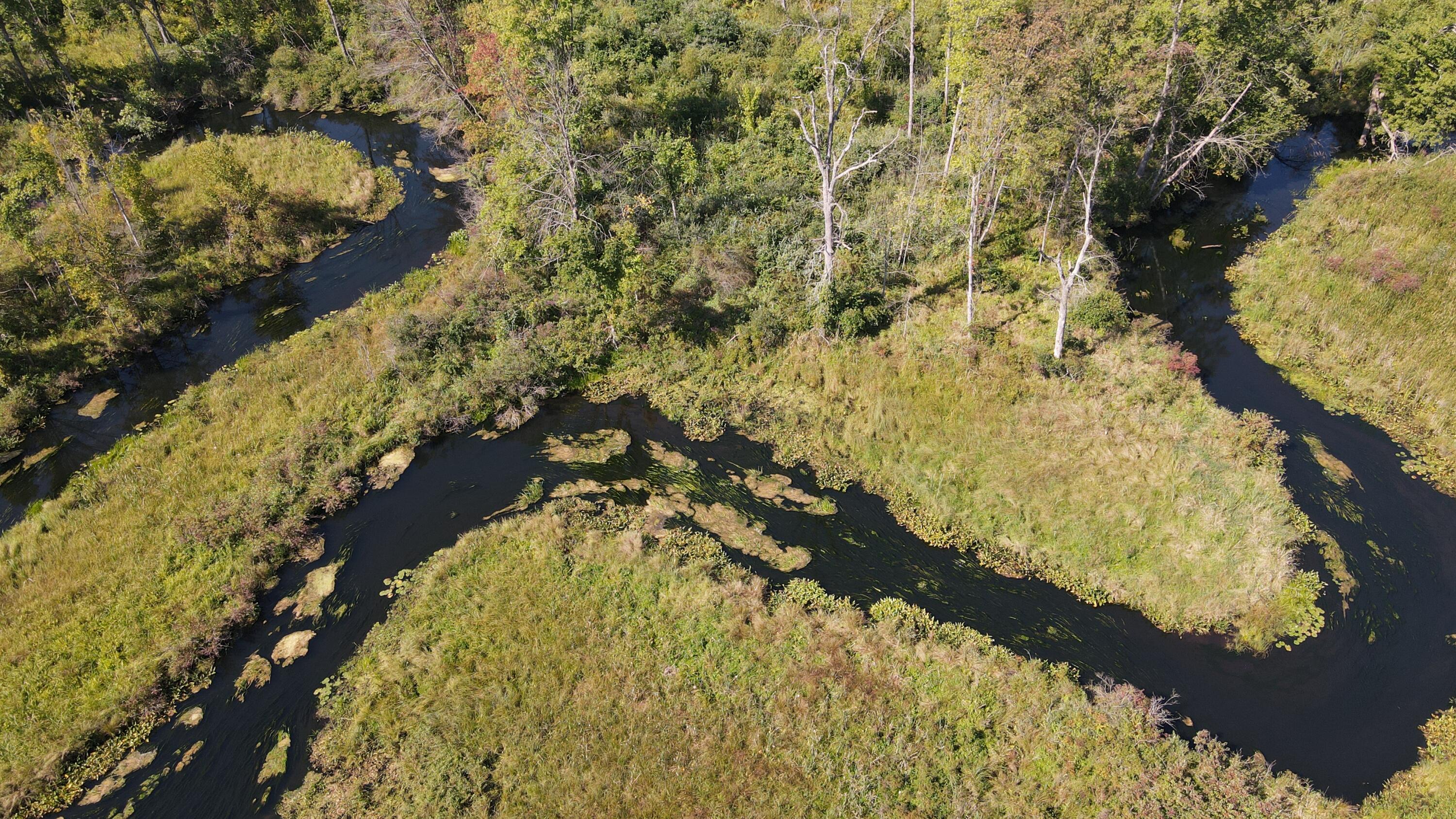 52524 Johnson Road Three Rivers, MI 49093 - Photo 3 of 23 dji_fly_20260828_112750_809_178793578274