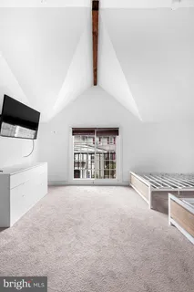 a street view with large trees