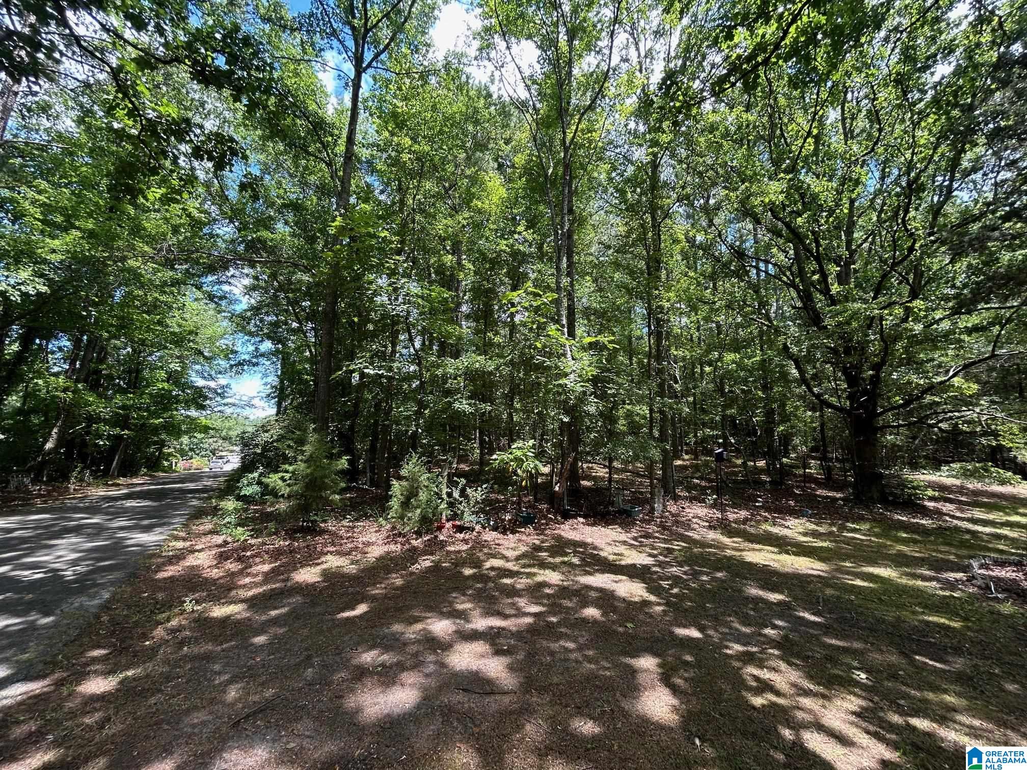410 Rocky Ridge Road Northeast Jacksonville, AL 36265 - Photo 39 of 41