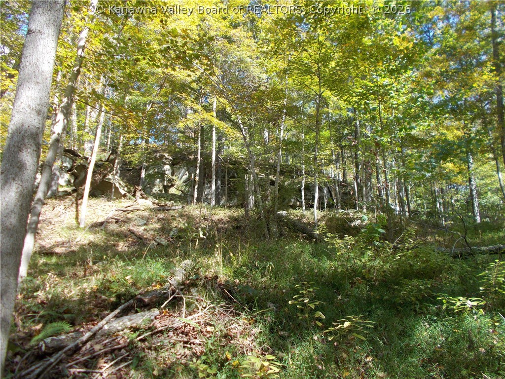 0 Mud Lick Road Liberty, WV 25124 - Photo 29 of 30 Gallery Image 29