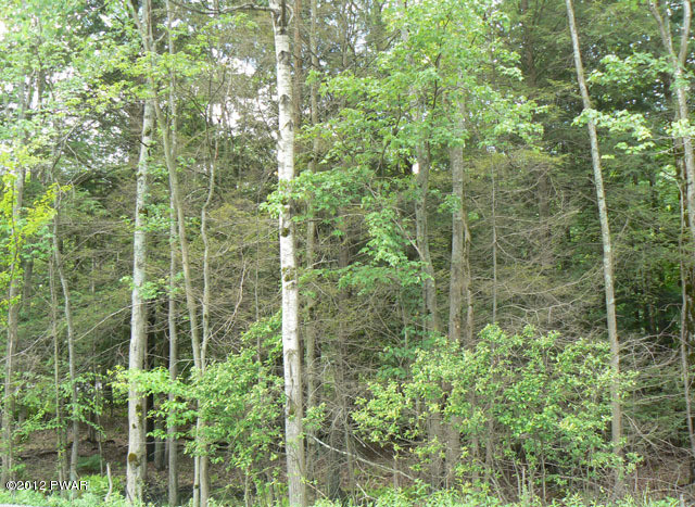 0 Spring Hill Road Lake Ariel, PA 18436 - Photo 1 of 1 Gallery Image 1