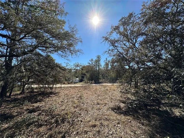 a view of dirt yard with a tree