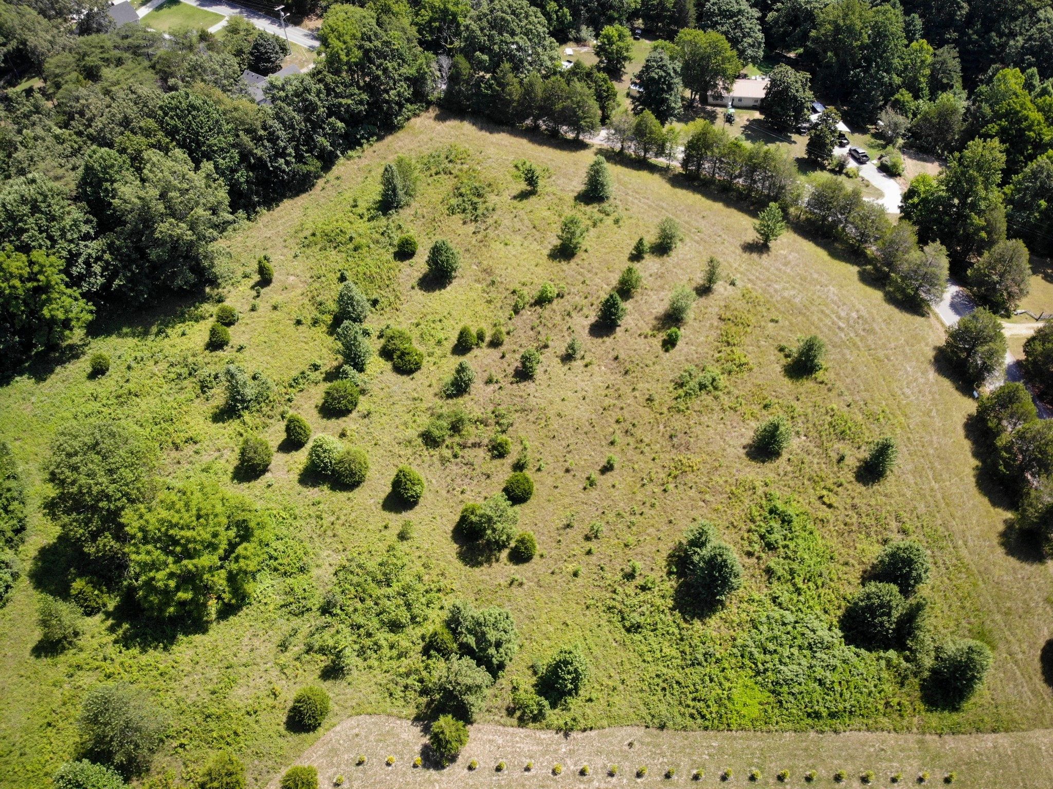 0 Dice Lampley Road Fairview, TN 37062 - Photo 1 of 17 Gallery Image 1