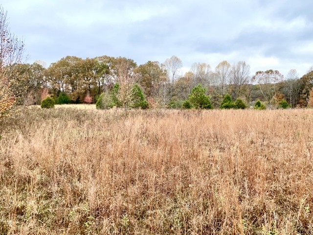 0 Dice Lampley Road Fairview, TN 37062 - Photo 12 of 17 Gallery Image 12