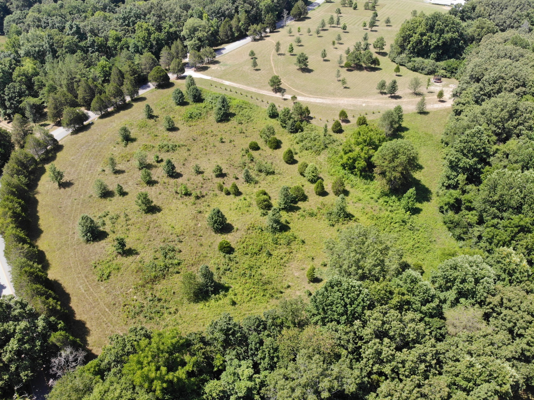 0 Dice Lampley Road Fairview, TN 37062 - Photo 3 of 17 Gallery Image 3