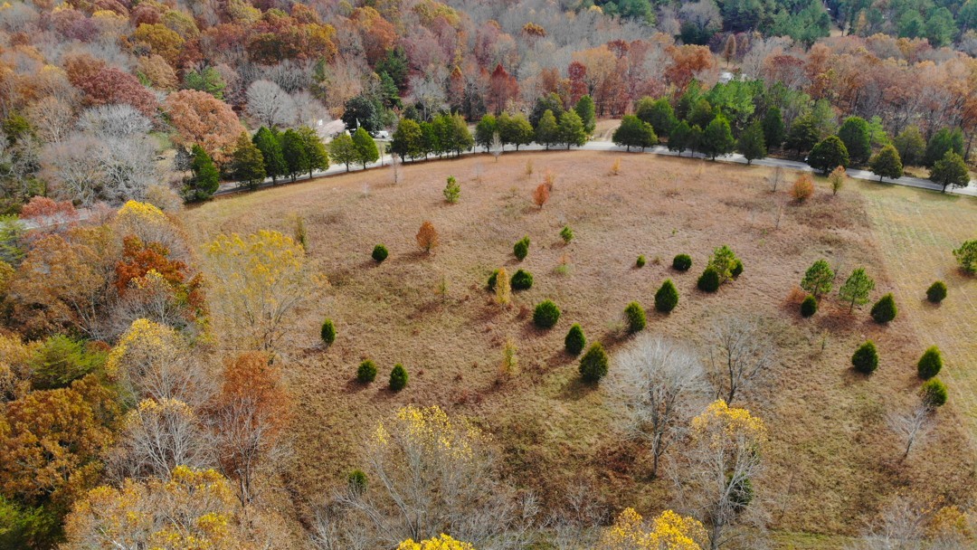 0 Dice Lampley Road Fairview, TN 37062 - Photo 5 of 17 Gallery Image 5