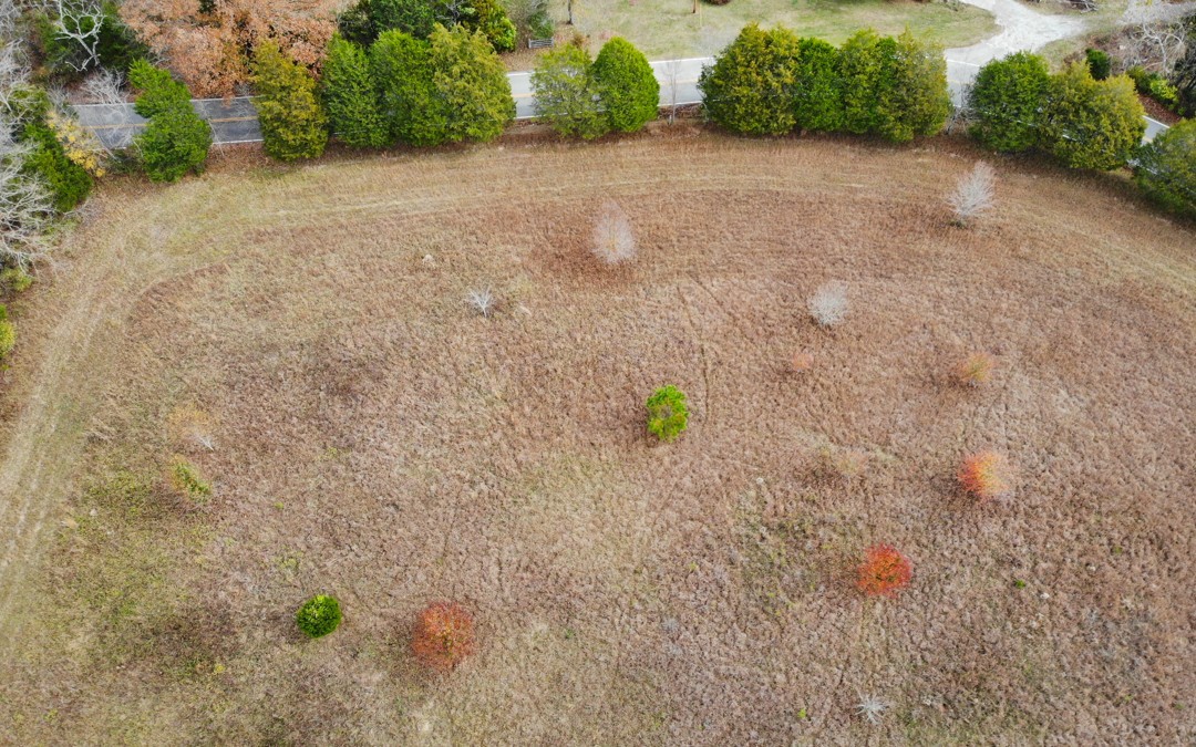 0 Dice Lampley Road Fairview, TN 37062 - Photo 6 of 17 Gallery Image 6