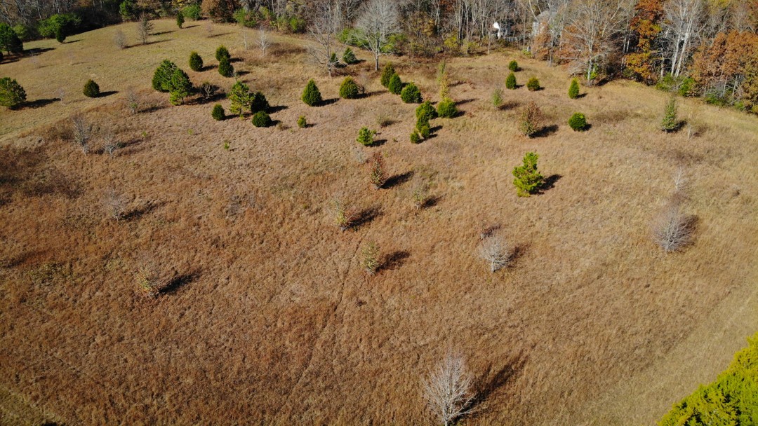 0 Dice Lampley Road Fairview, TN 37062 - Photo 8 of 17 Gallery Image 8