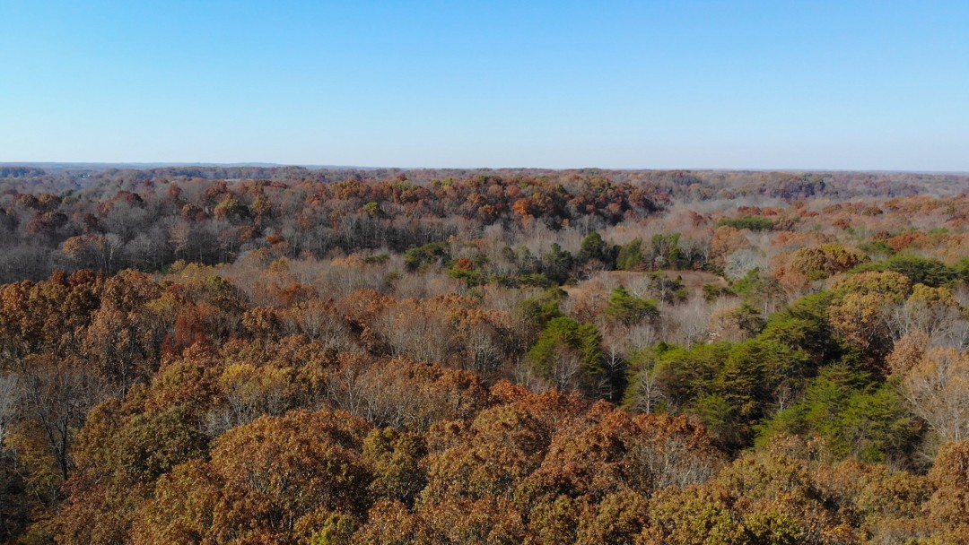 0 Dice Lampley Road Fairview, TN 37062 - Photo 10 of 17 Gallery Image 10