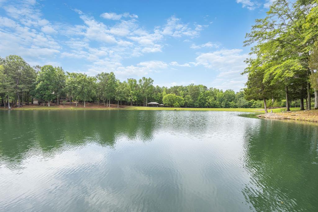 11045 Warm Springs Road Midland, GA 31820 - Photo 6 of 46