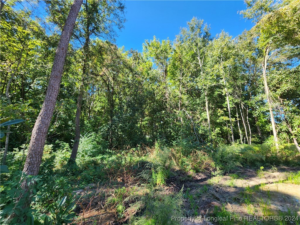 910 West Street Smithfield, NC 27577 - Photo 47 of 47 a view of a garden