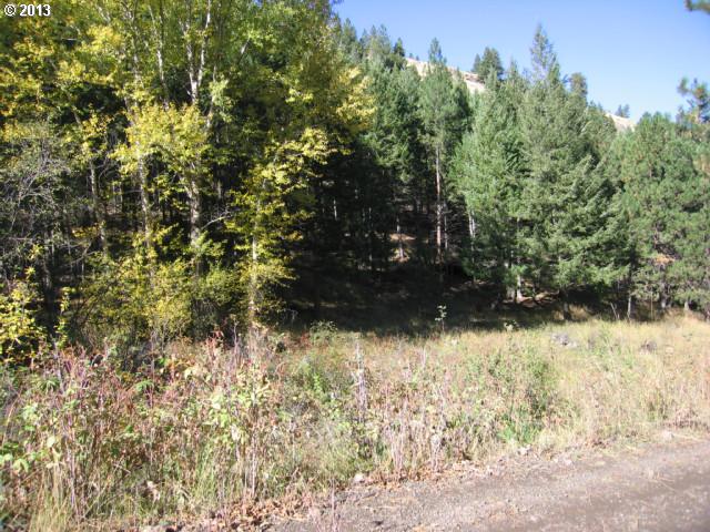 Rail Canyon Road Joseph, OR 97846 - Photo 4 of 11 a view of a yard with trees