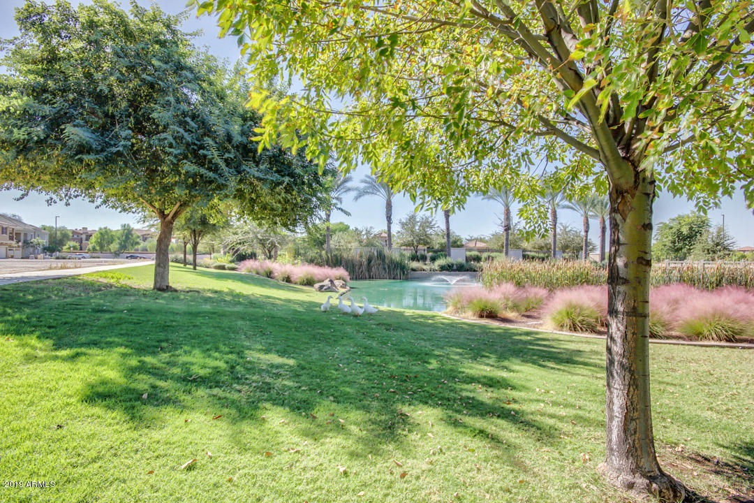 2618 South Key Biscayne Drive Gilbert, AZ 85295 - Photo 31 of 39 Community