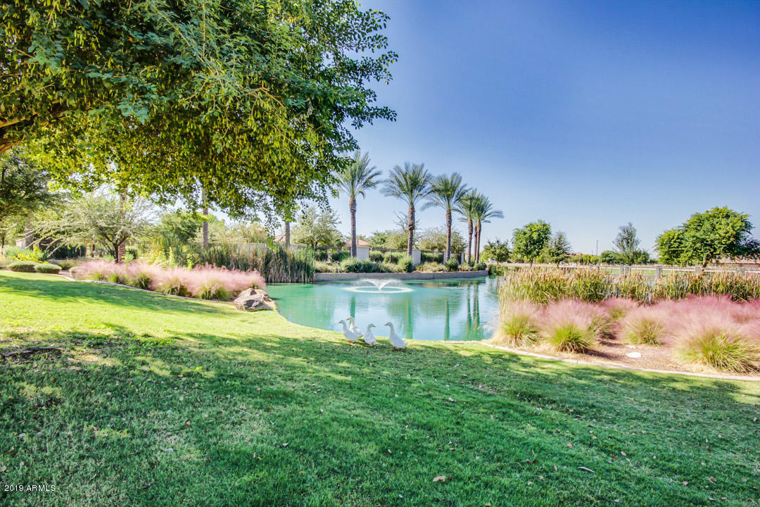 2618 South Key Biscayne Drive Gilbert, AZ 85295 - Photo 32 of 39 Community
