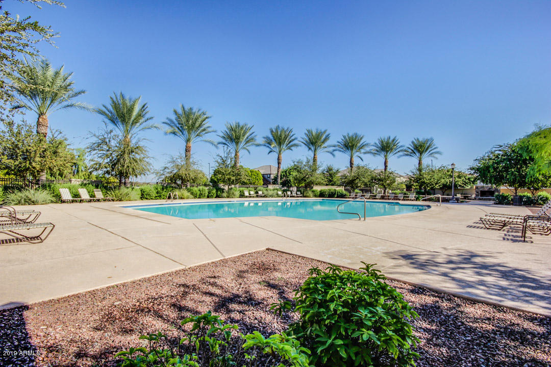 2618 South Key Biscayne Drive Gilbert, AZ 85295 - Photo 39 of 39 Community