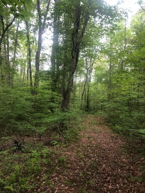 887 Swicegood Road Crossville, TN 38571 - Photo 14 of 19