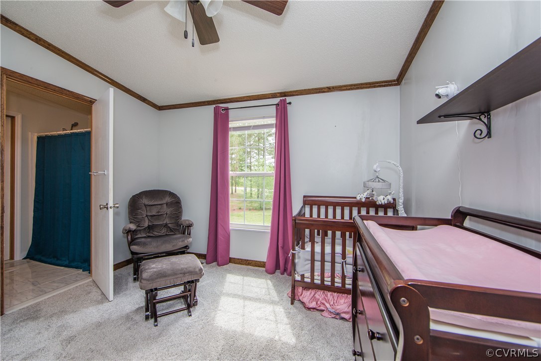 23417 Cabin Point Road Disputanta, VA 23842 - Photo 24 of 38 Gallery Image 24