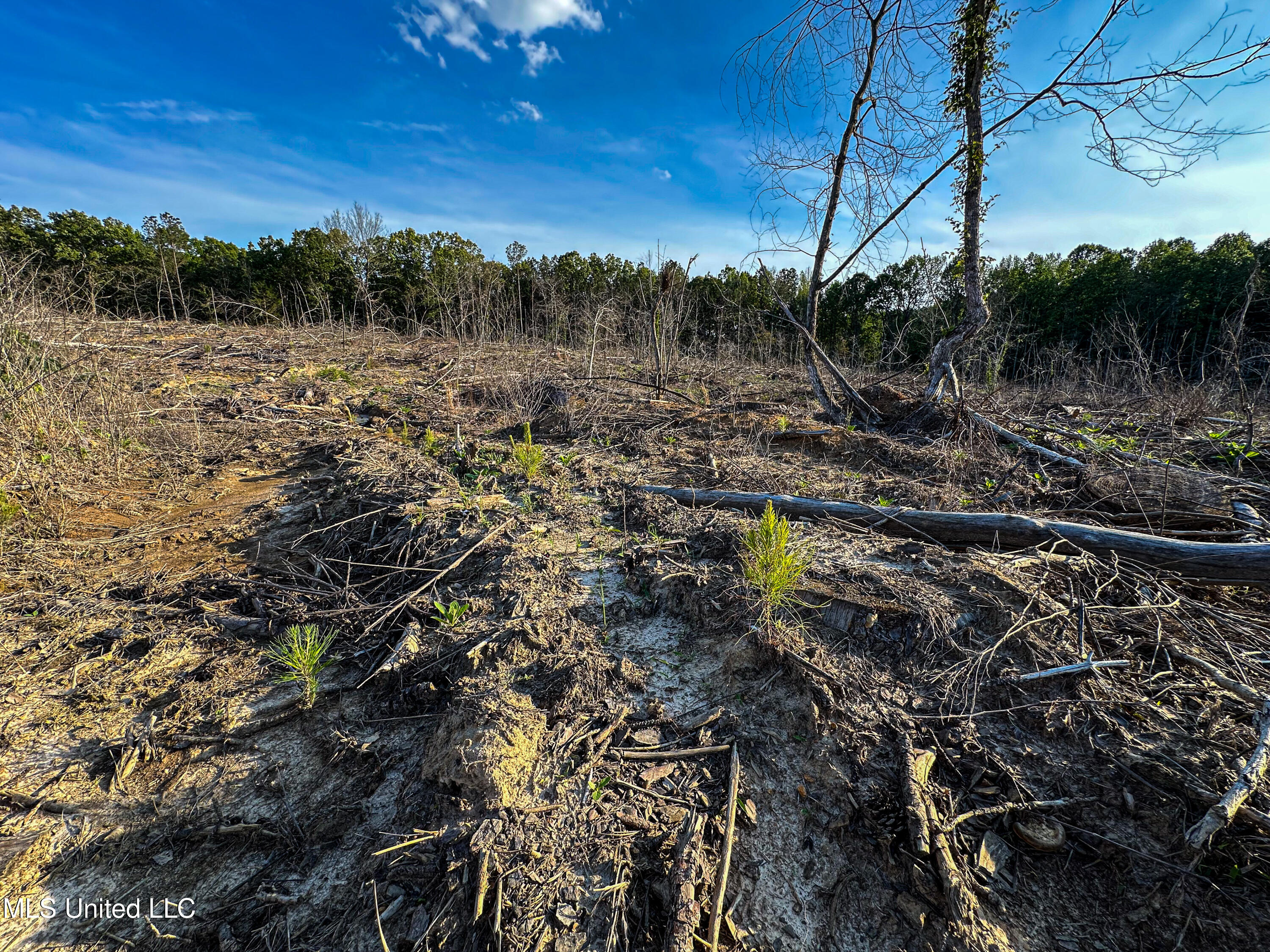 1 Andrews Road Pontotoc, MS 38863 - Photo 5 of 36 28