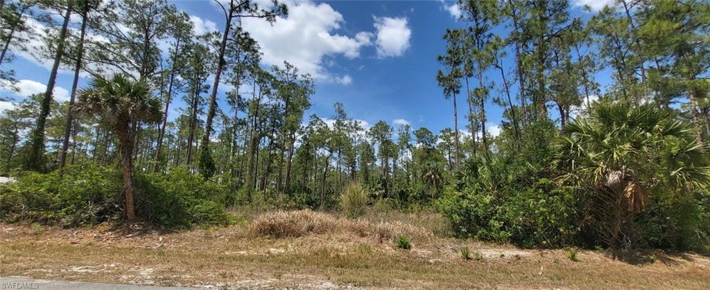 a view of a yard with plants and trees