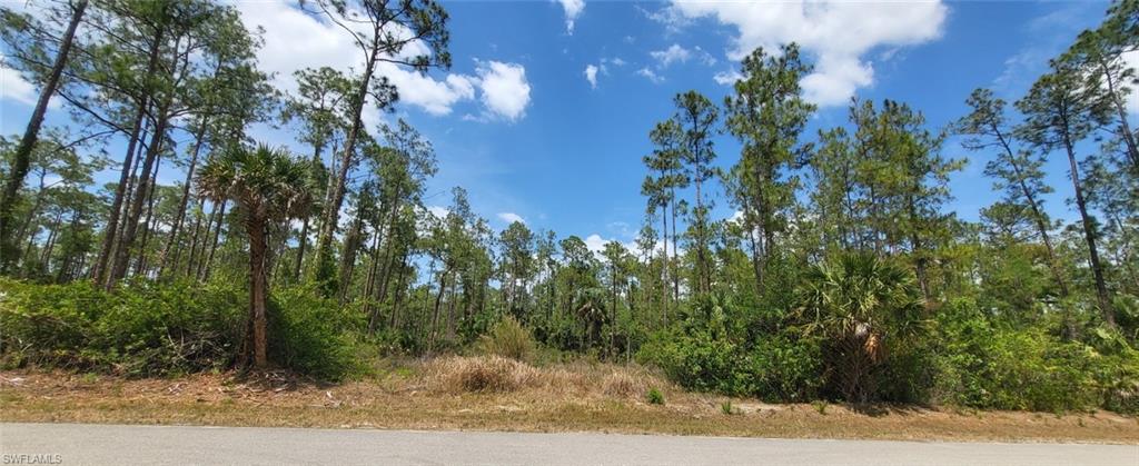 4045 12th Avenue Southeast Naples, FL 34117 - Photo 2 of 2 a view of a yard