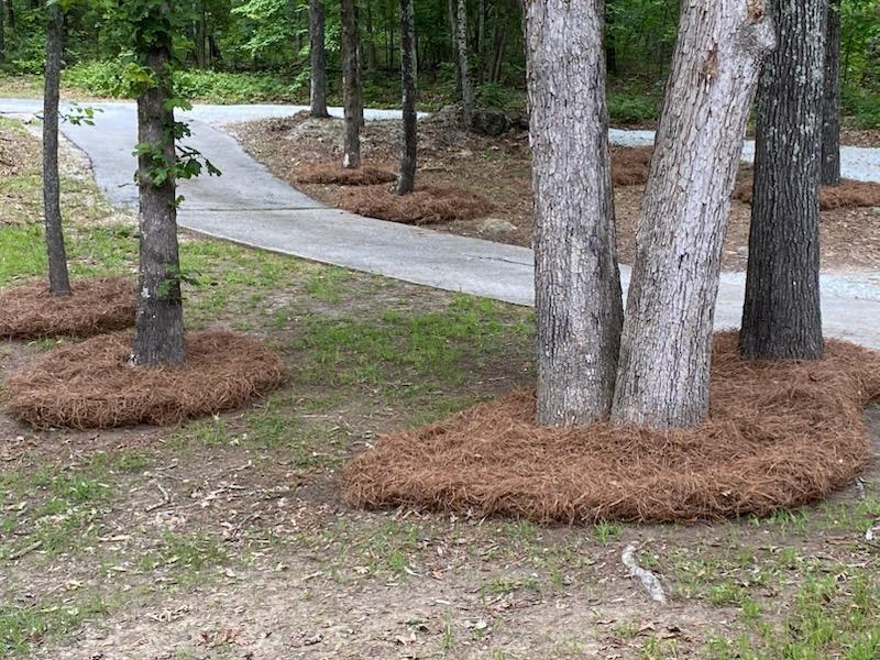 4470 East Fairview Road Southwest Stockbridge, GA 30281 - Photo 2 of 13 a view of a yard