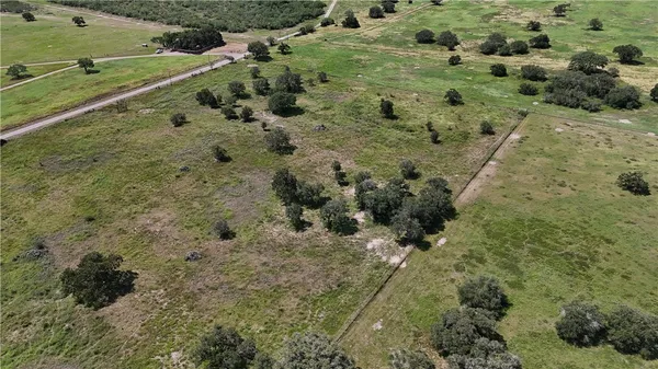 a view of a forest with a yard