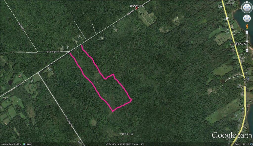 Xx Brewer Road Robbinston, ME 04671 - Photo 3 of 3 Google earth image with old woods...