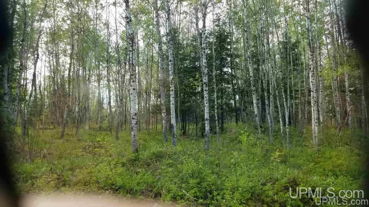 Tbd Fr 3470 Road Iron River, MI 49935 - Photo 28 of 31