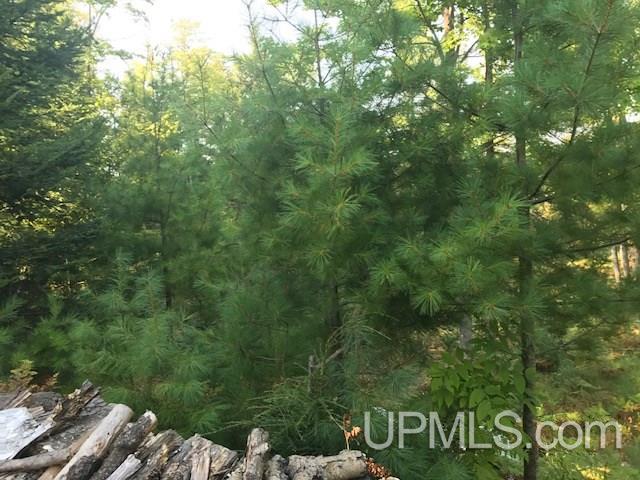 7620 30.5 Road Rapid River, MI 49878 - Photo 31 of 36