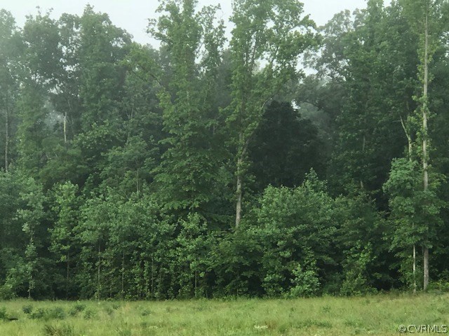 3300 Maidens Road Powhatan, VA 23139 - Photo 1 of 1 Gallery Image 1
