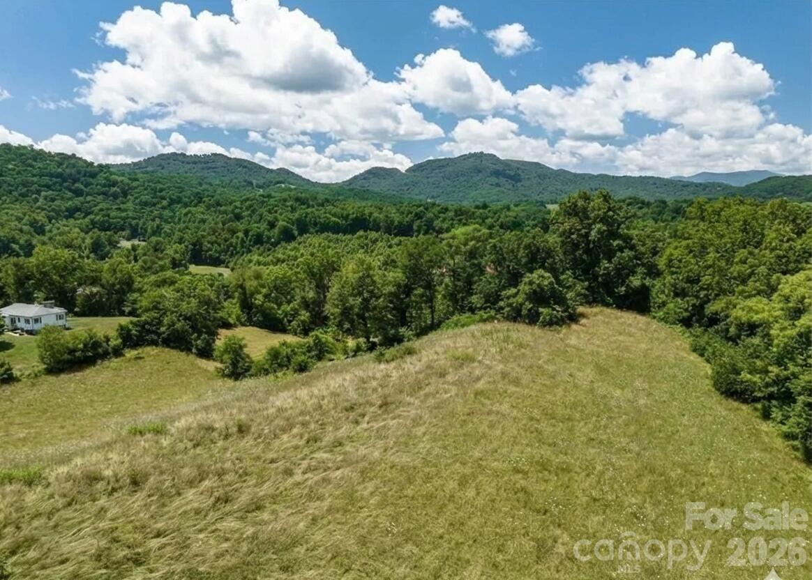 37 Amber Lane Clyde, NC 28721 - Photo 5 of 13