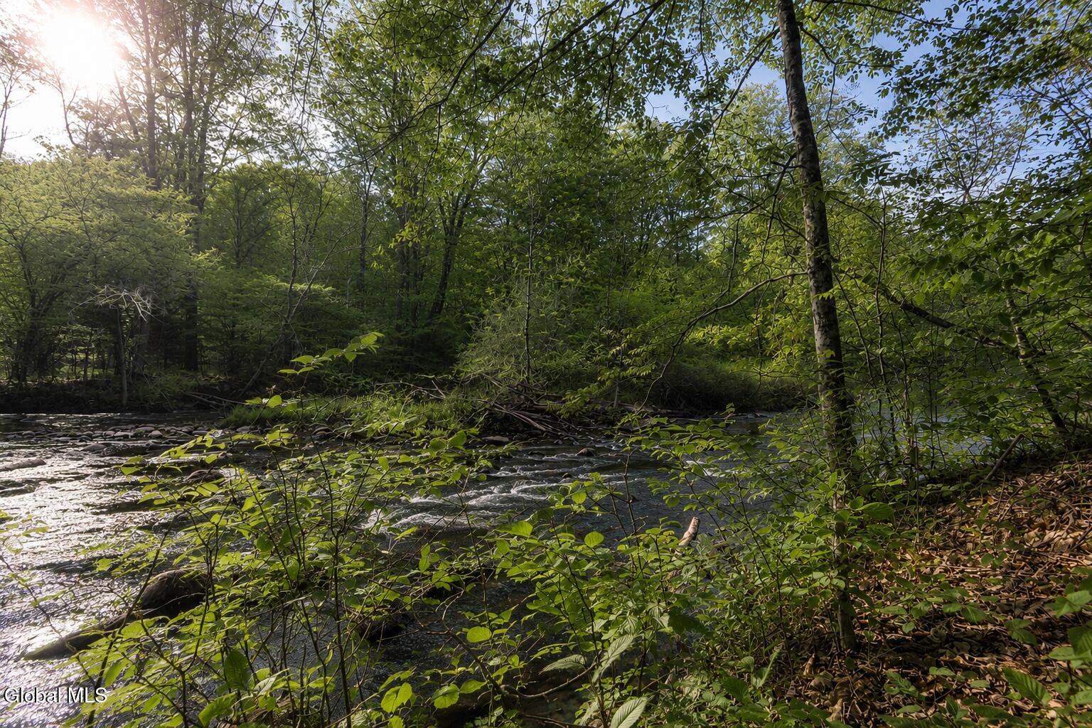 14 Young Road Middle Grove, NY 12850 - Photo 6 of 33 Kayaderossas Creek