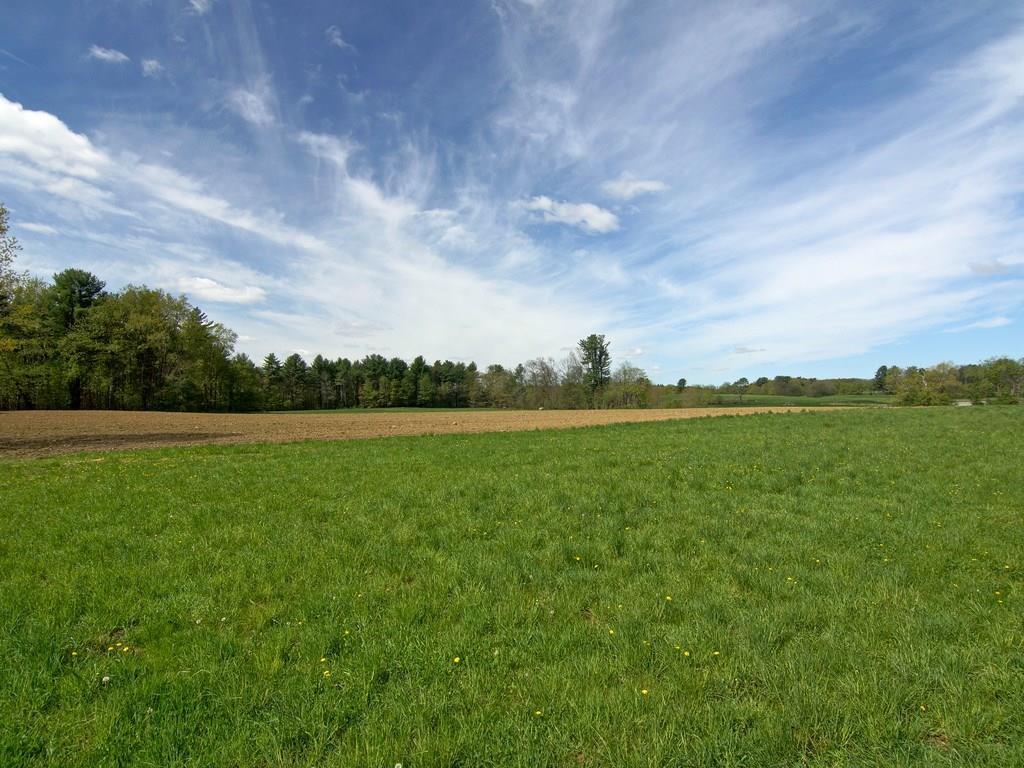 0 Blackberry Hill Road Berwick, ME 03901 - Photo 5 of 18 Edge of newly planted cornfield....