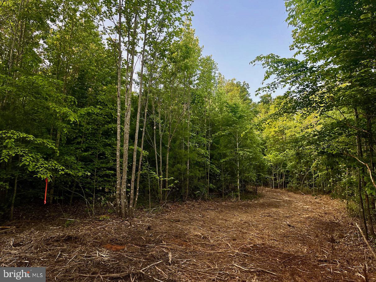 Lot 1 Ridge Road Barboursville, VA 22923 - Photo 13 of 16 Gallery Image 13