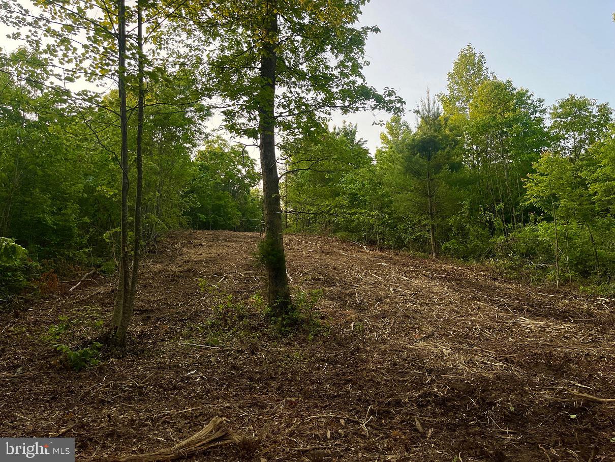 Lot 1 Ridge Road Barboursville, VA 22923 - Photo 15 of 16 Gallery Image 15