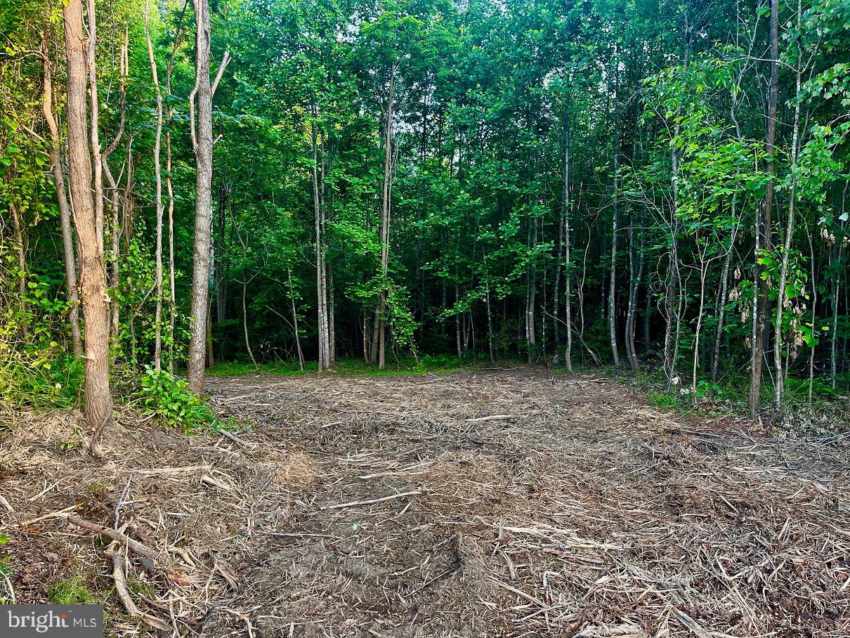 Lot 1 Ridge Road Barboursville, VA 22923 - Photo 3 of 16 Gallery Image 3