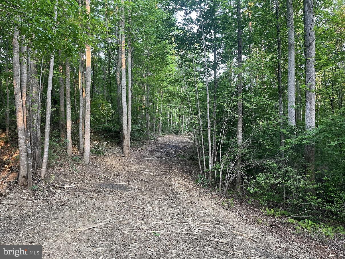 Lot 1 Ridge Road Barboursville, VA 22923 - Photo 4 of 16 Gallery Image 4