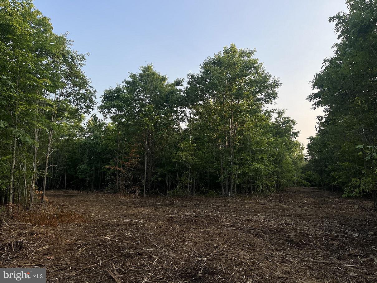Lot 1 Ridge Road Barboursville, VA 22923 - Photo 6 of 16 Gallery Image 6
