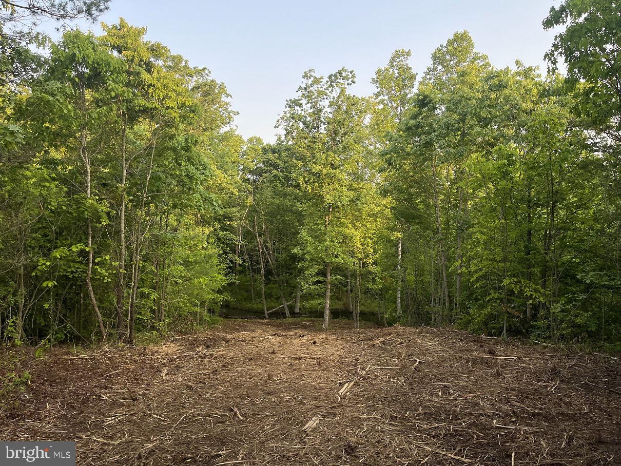 Lot 1 Ridge Road Barboursville, VA 22923 - Photo 7 of 16 Gallery Image 7