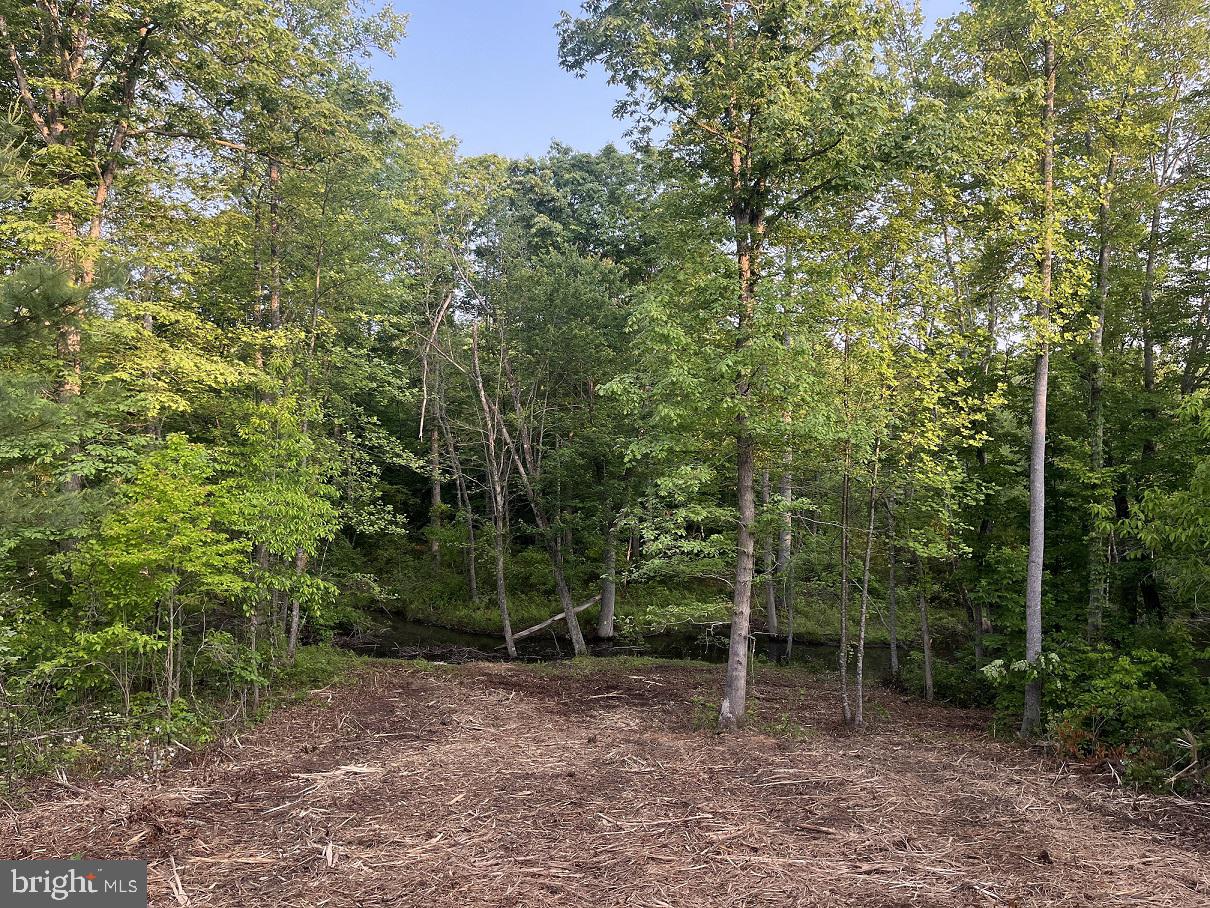 Lot 1 Ridge Road Barboursville, VA 22923 - Photo 8 of 16 Gallery Image 8